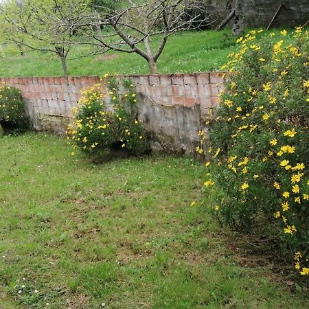 Fondu La Llosa - Casita Cerca De Gijon - Vv-662-As Villaviciosa  Dış mekan fotoğraf