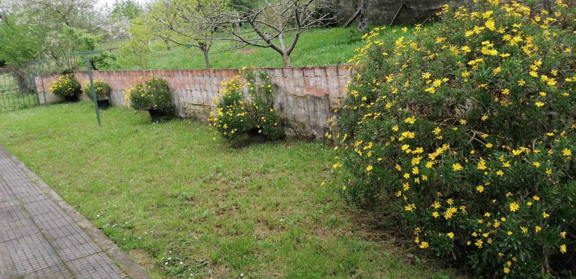 Fondu La Llosa - Casita Cerca De Gijon - Vv-662-As Villaviciosa  Dış mekan fotoğraf